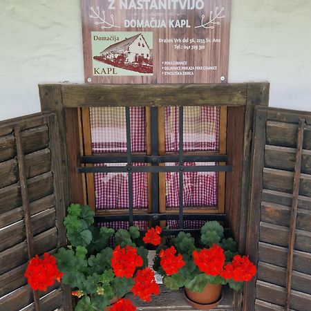 Homestay Kapl Ledinek Экстерьер фото