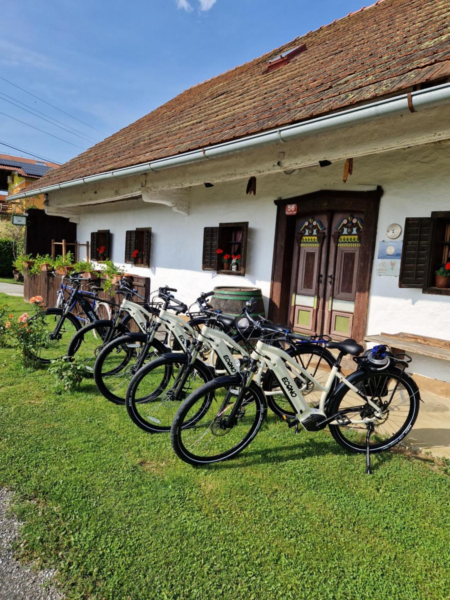 Homestay Kapl Ledinek Экстерьер фото