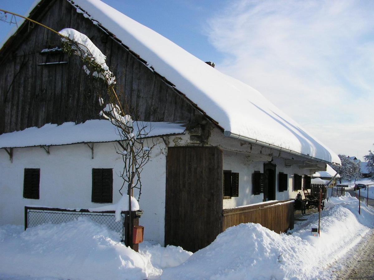 Homestay Kapl Ledinek Экстерьер фото